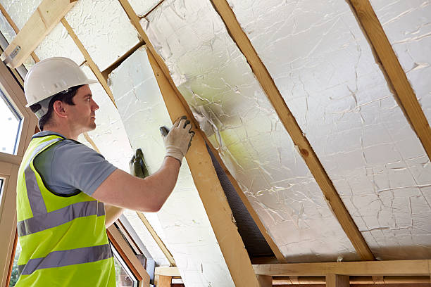 Best Commercial Insulation in Shelbina, MO